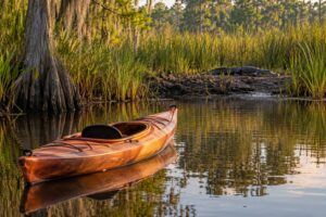 how to kayak safely in alligator water