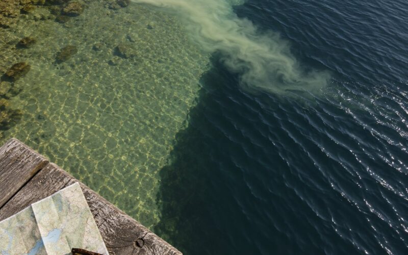How to Read Water Color for Fishing Spots (October 2026)