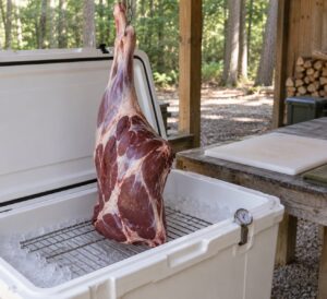 how to age venison before butchering