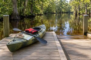 how to stay safe around alligators while paddling