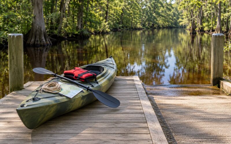 How to Stay Safe Around Alligators While Paddling (October 2026)